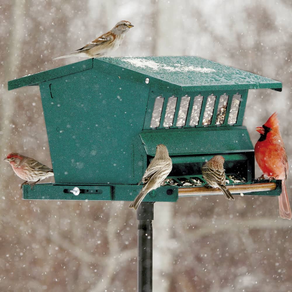 Birdwatch Delivery feeders